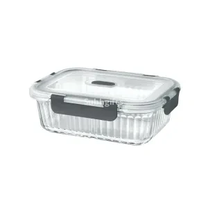 Borosilicate Clip Fresh Rib Rectangular Container (Treo by Milton)