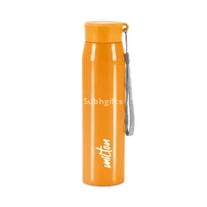 Handy Stainless Steel Bottle