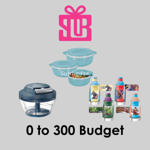 Budget 0 - 300 Gifting